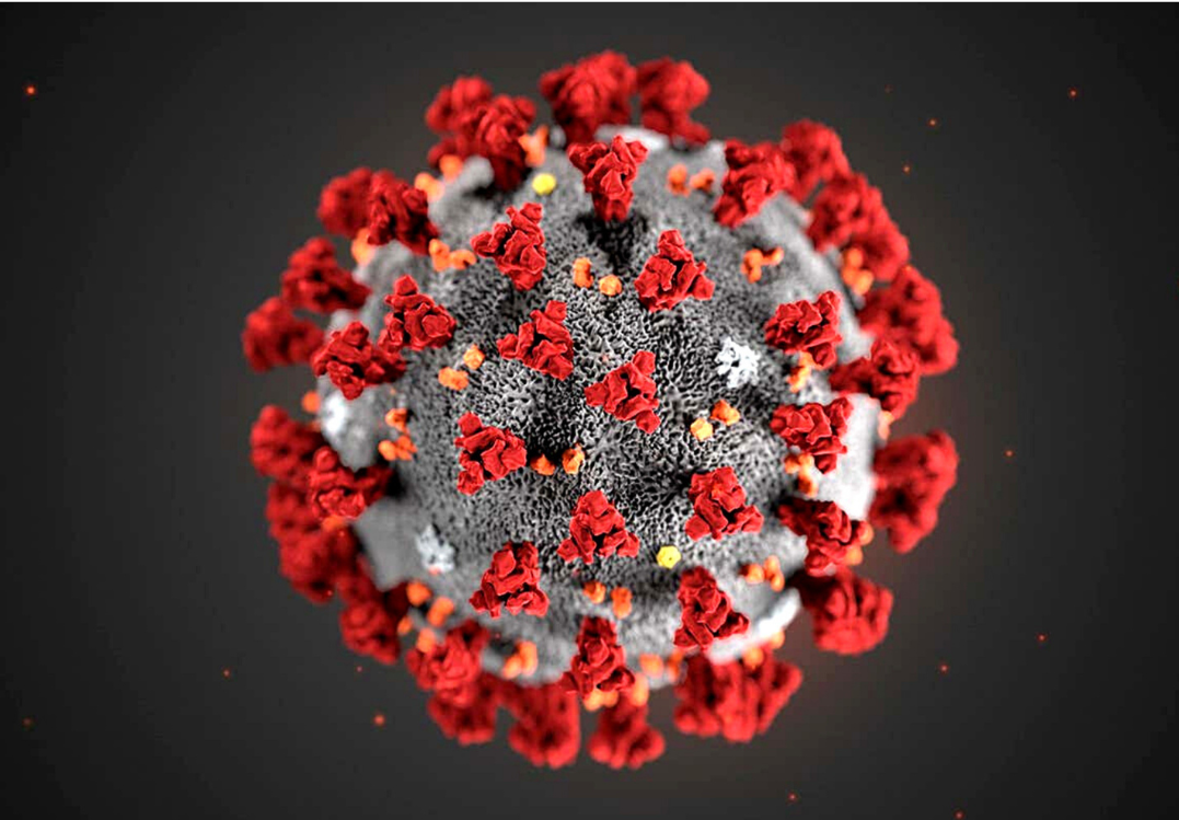 COVID-19: Drug Discovery and Repurposing