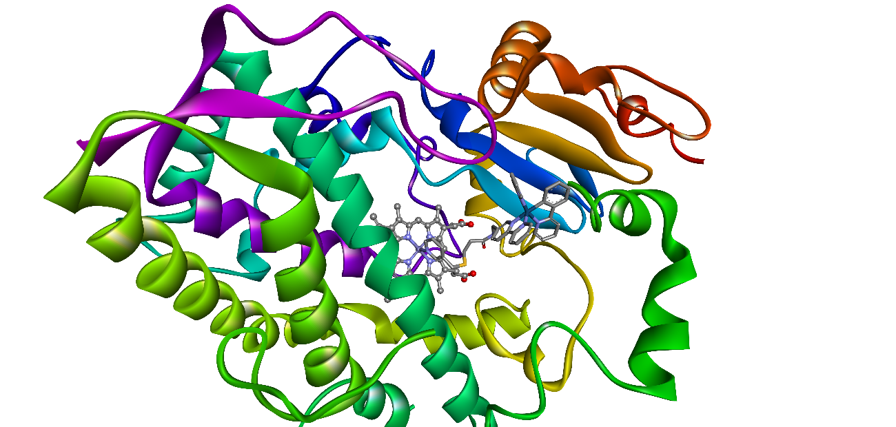 The importance of Cytochrome P450