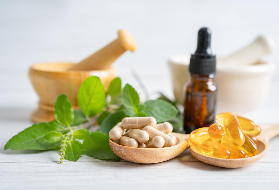 History and Use of Phytotherapy: A Current View