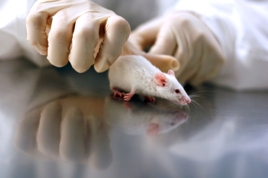 Use of Animals in Scientific Research
