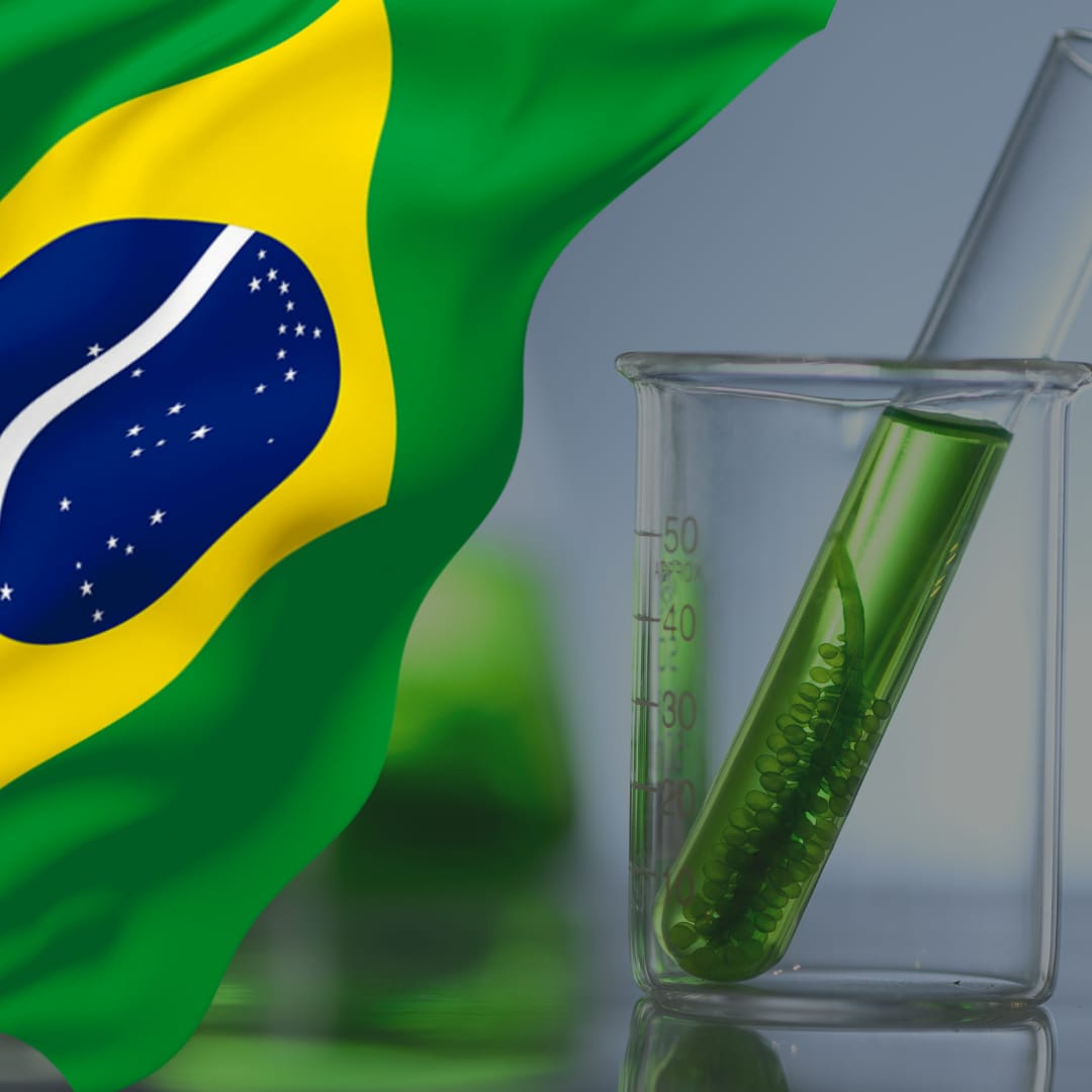 The Resilience of Science in Brazil: Challenges and Potentials